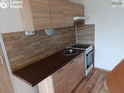 Prodej bytu 1+KK Ústí nad Labem, V Oblouku č. 1