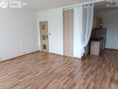 Prodej bytu 1+KK Ústí nad Labem, V Oblouku č. 2