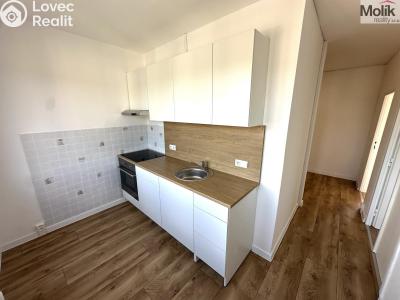 Rent apartment 2+1 Duchcov, Družby č. 19