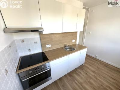 Rent apartment 2+1 Duchcov, Družby č. 1