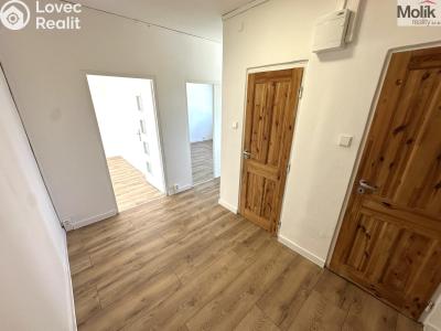 Rent apartment 2+1 Duchcov, Družby č. 4
