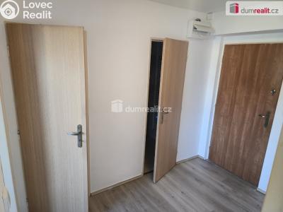 Pronájem bytu 1+1 Kosořice č. 8