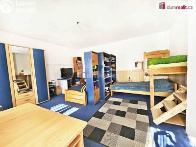 Продаж сімейного будинку Prackovice nad Labem č. 12