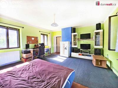 Продаж сімейного будинку Prackovice nad Labem č. 18