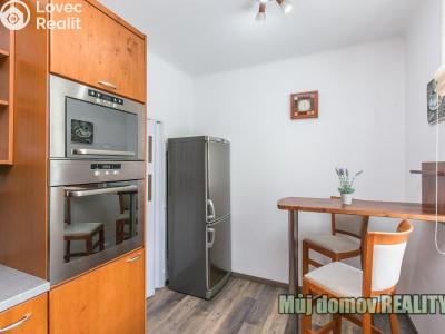 Rent apartment 2+1 Praha, Kladenská č. 3