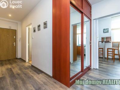 Rent apartment 2+1 Praha, Kladenská č. 9