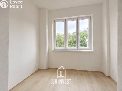 Pronájem obchodního prostoru Plzeň, Pařížská č. 13