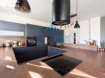 Sale multi-gen house Velim, Palackého 423 č. 12