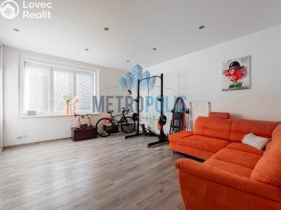 Sale multi-gen house Velim, Palackého 423 č. 13