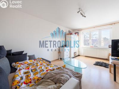 Sale multi-gen house Velim, Palackého 423 č. 19