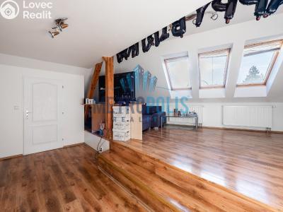 Sale multi-gen house Velim, Palackého 423 č. 20