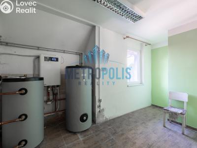 Sale multi-gen house Velim, Palackého 423 č. 28