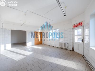 Sale multi-gen house Velim, Palackého 423 č. 29