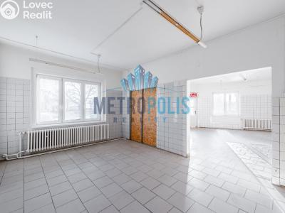 Sale multi-gen house Velim, Palackého 423 č. 30