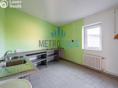 Sale multi-gen house Velim, Palackého 423 č. 31