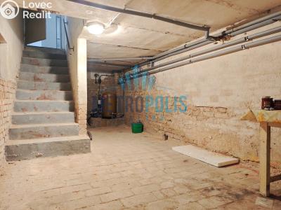 Sale multi-gen house Velim, Palackého 423 č. 51