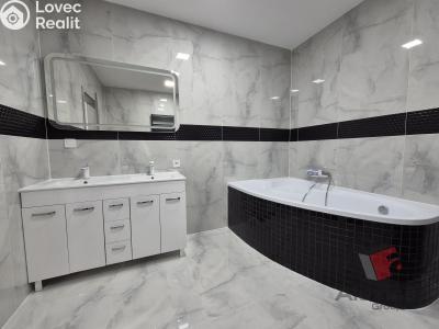 Оренда сімейного будинку Brandýs nad Labem, Brázdimská 2717 č. 6