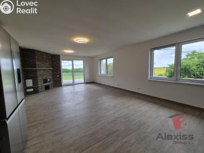 Оренда сімейного будинку Brandýs nad Labem, Brázdimská 2717 č. 13