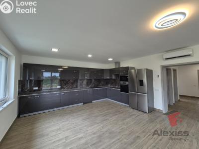 Оренда сімейного будинку Brandýs nad Labem, Brázdimská 2717 č. 15