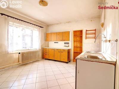 Продажа семейного дома Maleč č. 8