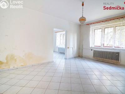 Продажа семейного дома Maleč č. 13