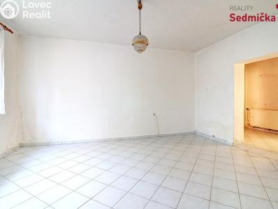 Продажа семейного дома Maleč č. 14
