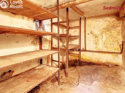 Продажа семейного дома Maleč č. 29