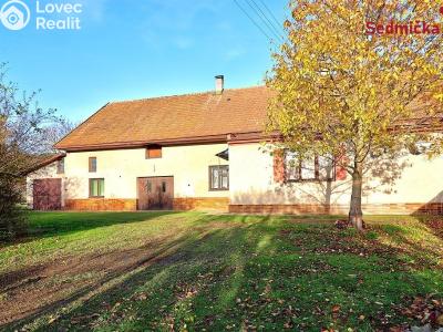Продажа семейного дома Maleč č. 47