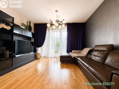 Rent apartment 3+KK Praha, Nad Smetankou č. 4