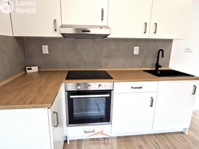 Rent family house Valašské Meziříčí, 28. října 1677 č. 11