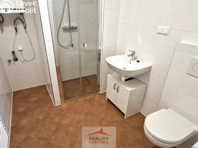 Rent family house Valašské Meziříčí, 28. října 1677 č. 18