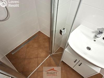 Rent family house Valašské Meziříčí, 28. října 1677 č. 25
