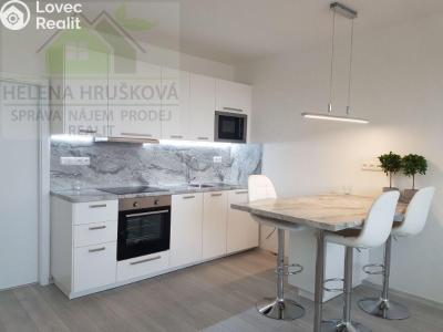 Аренда квартиры 1+KK Ostrava, Závoří č. 1