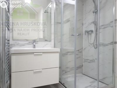 Аренда квартиры 1+KK Ostrava, Závoří č. 4