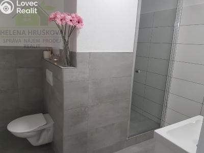 Аренда квартиры 1+KK Ostrava, Závoří č. 8