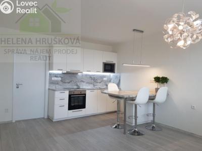Pronájem bytu 1+KK Ostrava, Závoří č. 13