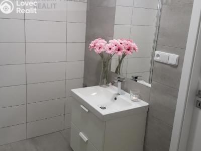 Pronájem bytu 1+KK Ostrava, Závoří č. 7