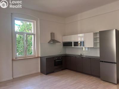 Pronájem bytu 4+KK Mariánské Lázně č. 6