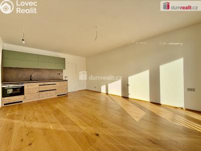 Rent apartment 1+KK Harrachov č. 1