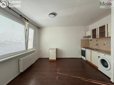 Аренда квартиры 1+1 Litvínov, Mostecká 2012 č. 2