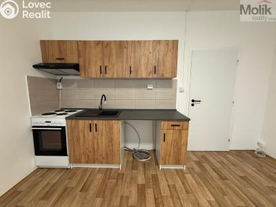 Pronájem bytu 2+KK Ústí nad Labem, Šrámkova č. 1