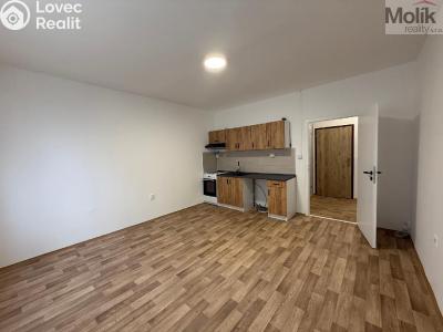 Pronájem bytu 2+KK Ústí nad Labem, Šrámkova č. 2