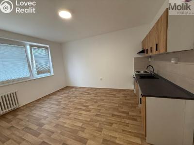 Pronájem bytu 2+KK Ústí nad Labem, Šrámkova č. 3