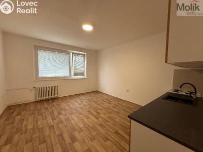 Pronájem bytu 2+KK Ústí nad Labem, Šrámkova č. 4