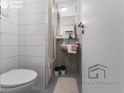 Prodej bytu 1+KK Praha, Hornoměcholupská č. 6