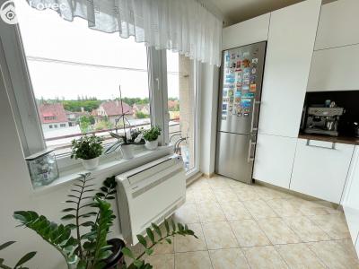 Prodej bytu 3+1 Nové Město nad Metují, U Zvonice č. 8