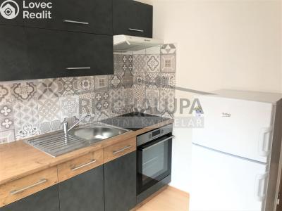 Аренда квартиры 1+1 České Budějovice, Roháče z Dubé č. 1
