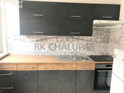 Аренда квартиры 1+1 České Budějovice, Roháče z Dubé č. 2