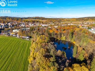 Продажа семейного дома Světlá nad Sázavou, Arbesova 1292 č. 28