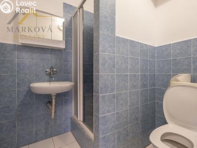 Prodej komerční nemovitosti Týn nad Vltavou, Nádražní 180 č. 19